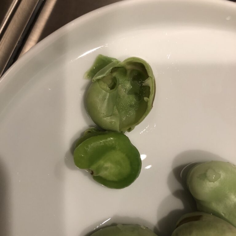 BROAD BEAN miso soup recipe JAPANESE COOKING CHANNEL & misosoup.site