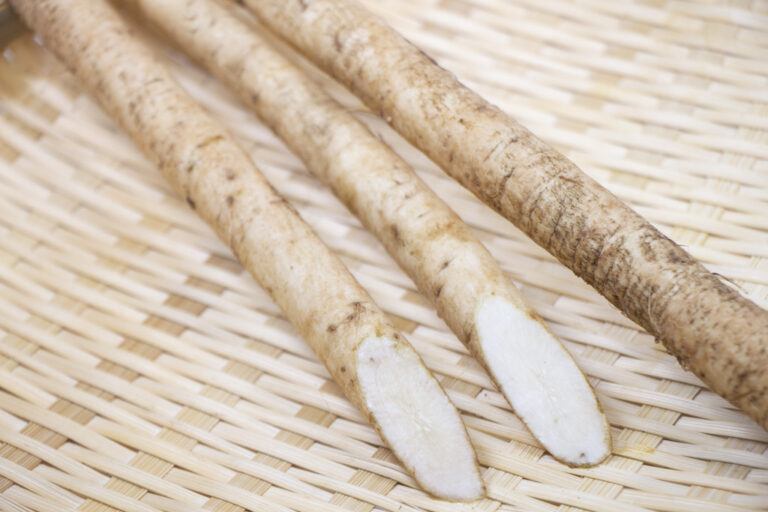 What Is Gobo and How Is It Used? JAPANESE COOKING CHANNEL & misosoup.site