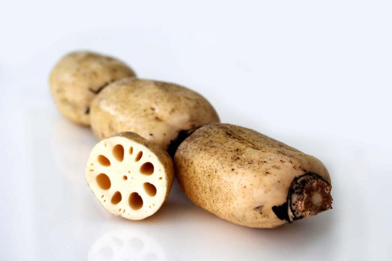 Перевод lotus root