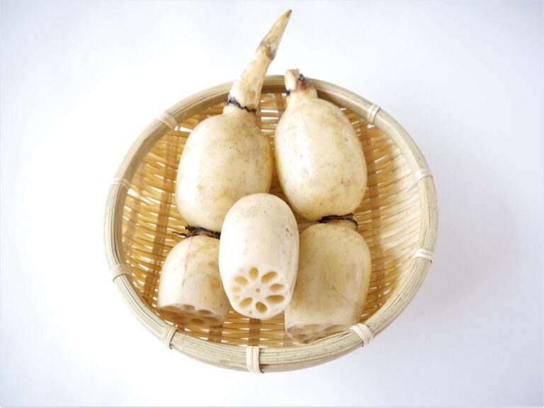 What Is Lotus Root and How Is It Used? 100 PURE JAPAN