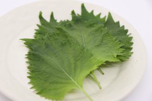 The 6 Best Shiso (Perilla) Substitutes
