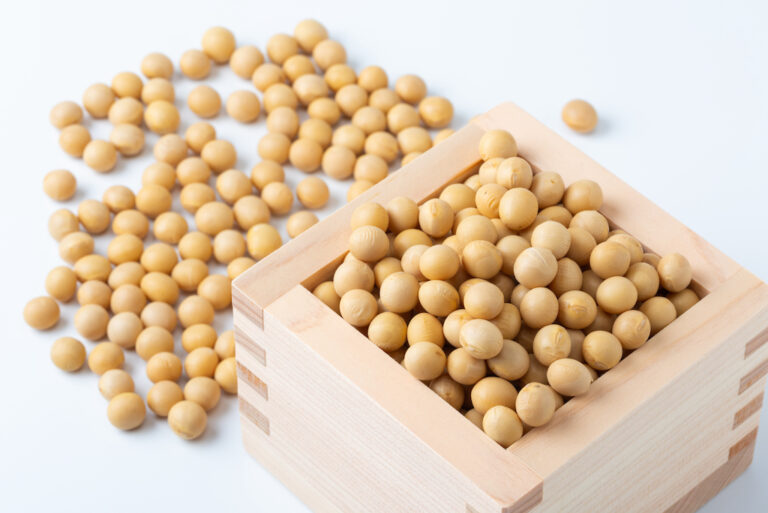 7 Types of Soybeans and Their Uses JAPANESE COOKING CHANNEL