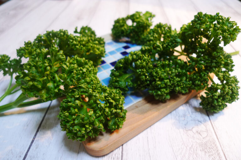 The 8 Best Mitsuba Substitutes JAPANESE COOKING CHANNEL & misosoup.site