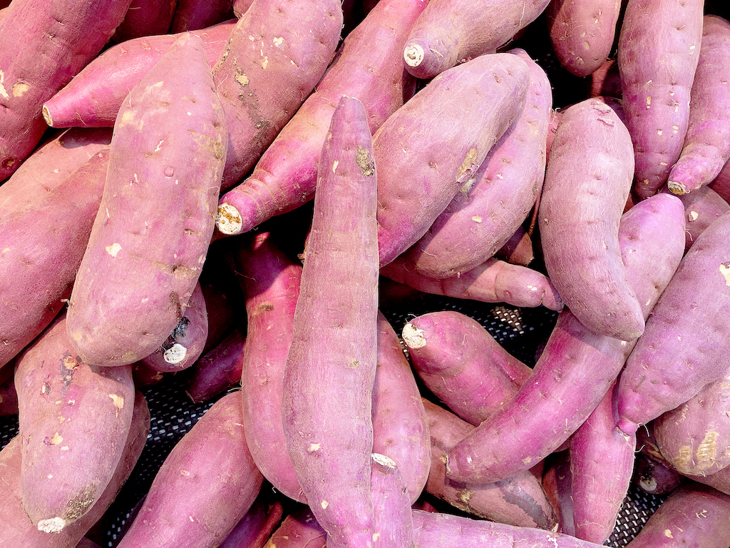 Difference Between Japanese Sweet Potato