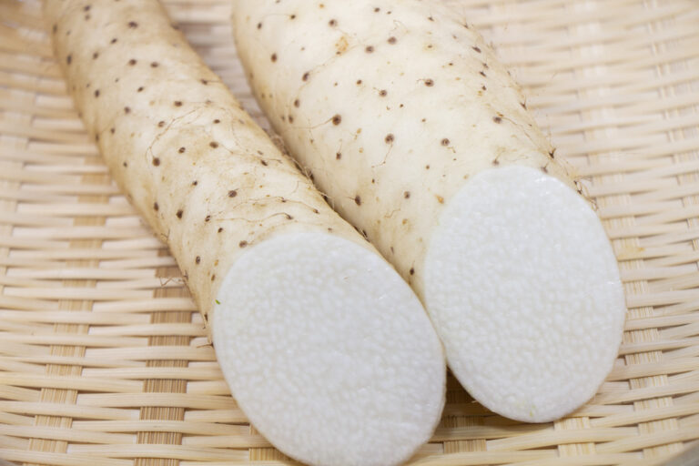 The 5 Major Types of Japanese Yam JAPANESE COOKING CHANNEL & misosoup