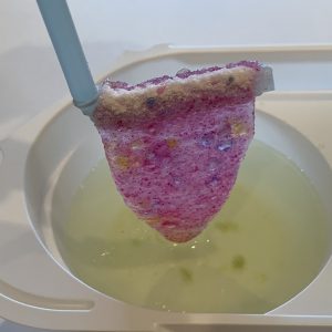English Translation - Gumi Tsureta Fishing Gummy Kit Grape (Kracie)