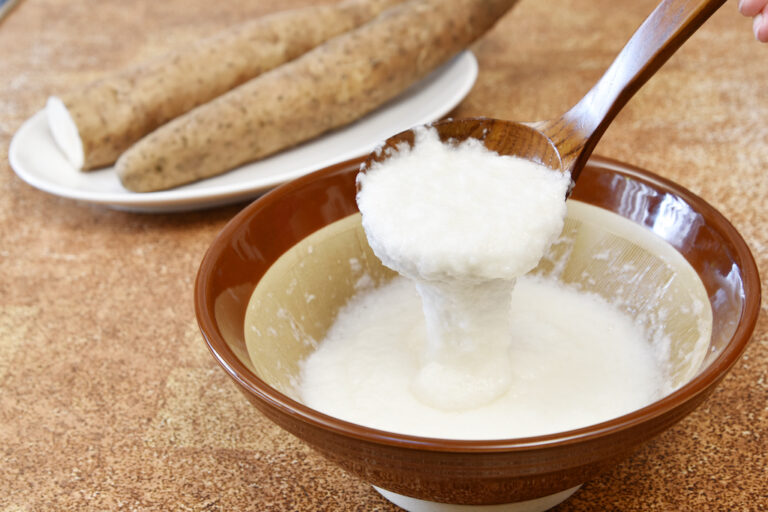 7 Best Okonomiyaki Sauce Substitutes JAPANESE COOKING CHANNEL (former